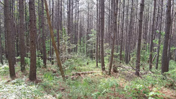 Rockwood, TN 37854,Airport Rd - Lot 15 (PCA)