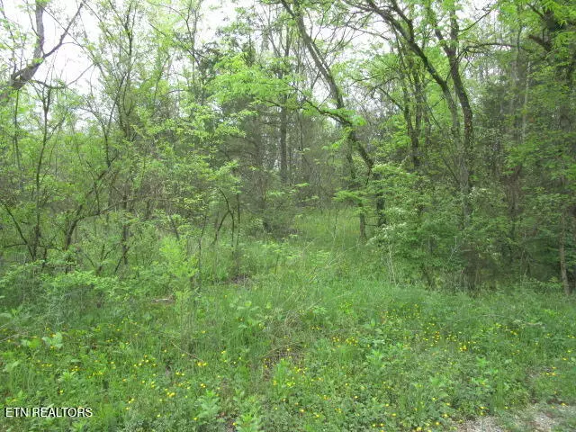 Silent LN, Rutledge, TN 37861