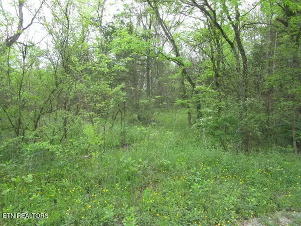 Rutledge, TN 37861,Silent LN