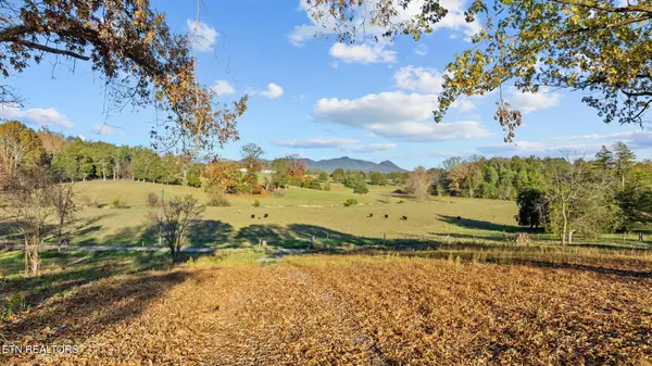 Corryton, TN 37721,Lot 3 Rodgers Rd
