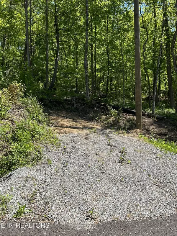 Rocky Top, TN 37769,329 Island Cove Rd