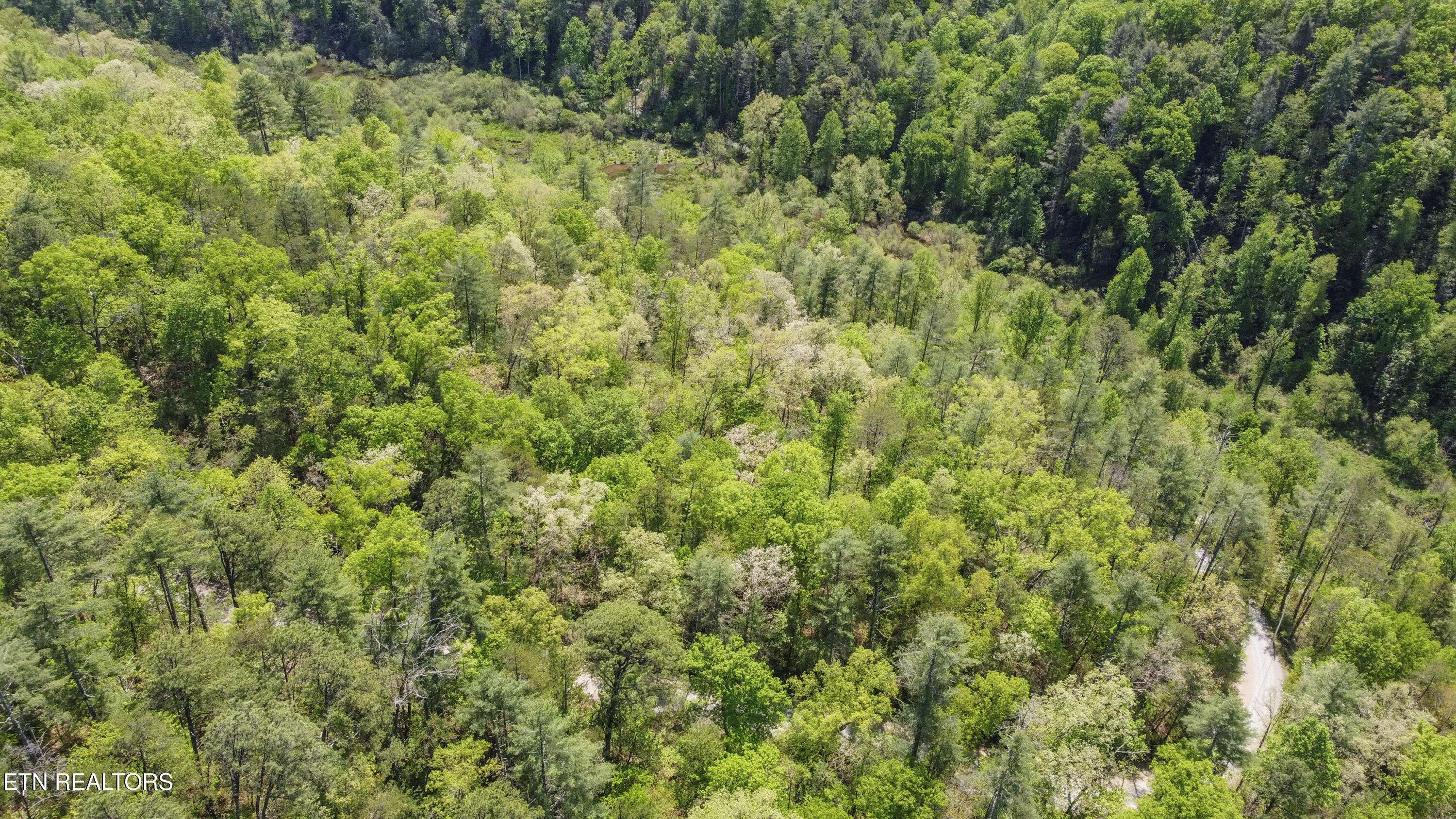 Walland, TN 37886,1820 Oakwood Road Rd