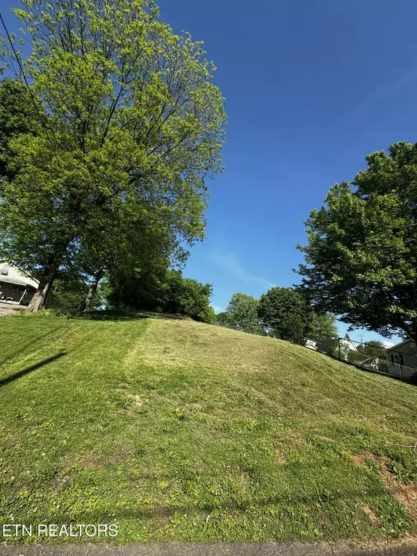 Knoxville, TN 37919,908 Cox St
