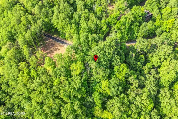 Sevierville, TN 37862,Lot 27 Sugar Maple Loop Rd