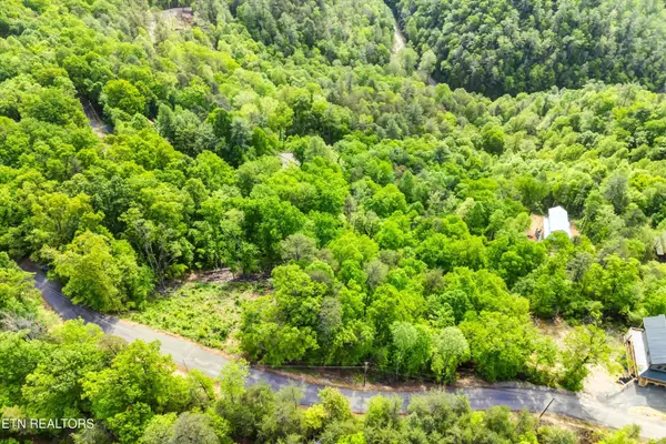 Sevierville, TN 37862,Lot 1 Hatcher Top Rd