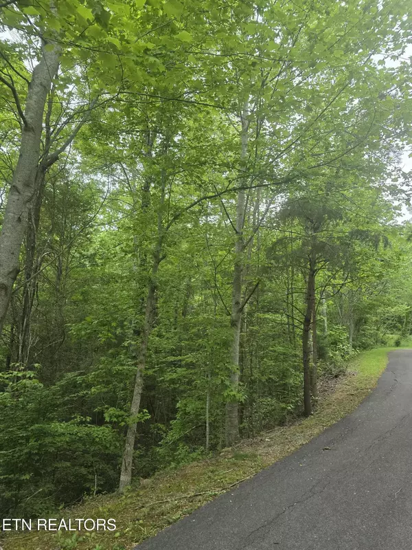 Sevierville, TN 37862,LOT 120 Lower Bluff WAY