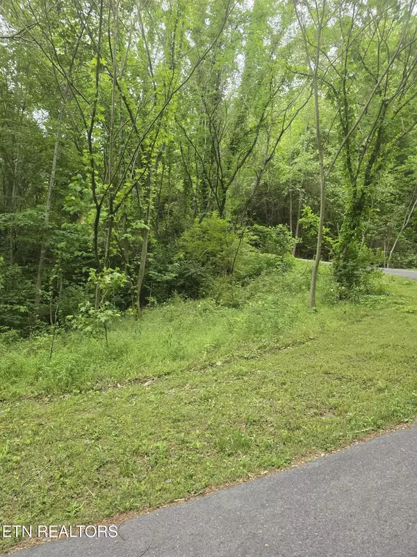 Sevierville, TN 37862,LOT 120 Lower Bluff WAY