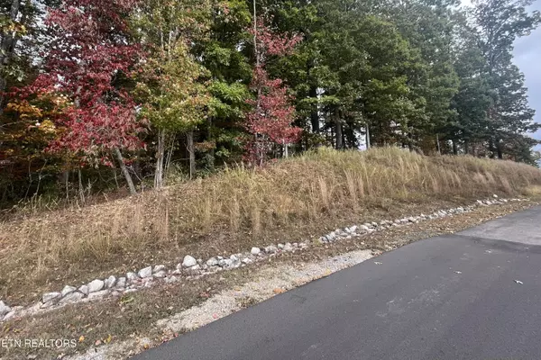 Rockwood, TN 37854,Lot 55 Shore DR