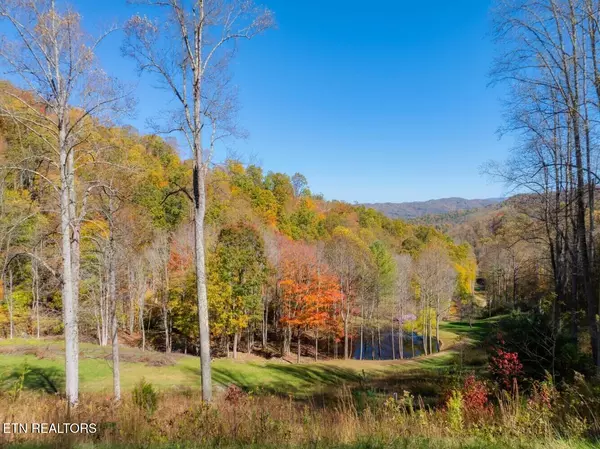 Roan Mountain, TN 37687,193 Smith Branch Rd