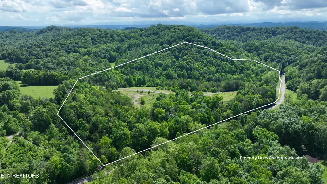 0 Acorn Gap Rd, Sweetwater, TN 37874