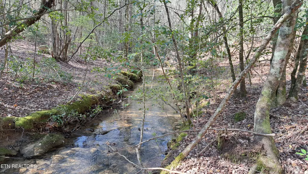 Airport Rd - Lot 24 (PCA), Rockwood, TN 37854