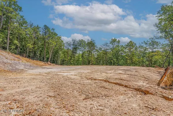 Tellico Plains, TN 37385,1200 Steer Creek Rd