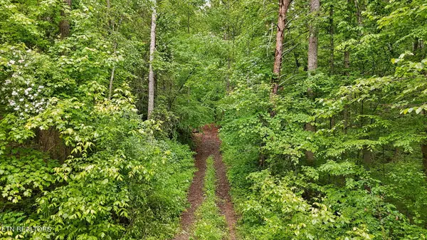 Maynardville, TN 37807,201 Birch Hollow Rd