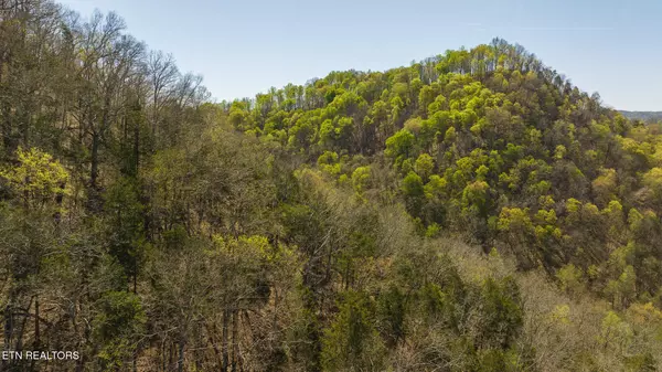 Kyles Ford, TN 37765,512 Hwy 70