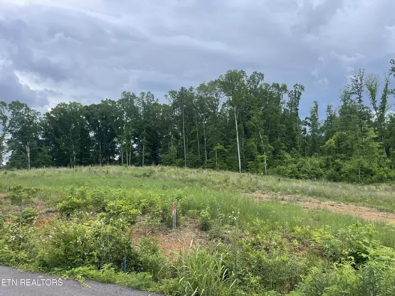 Lot 15 Laura Boling LOOP, Strawberry Plains, TN 37871