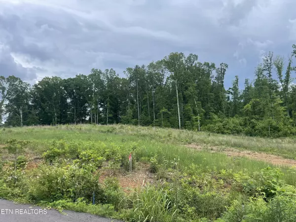 Lot 15 Laura Boling LOOP, Strawberry Plains, TN 37871