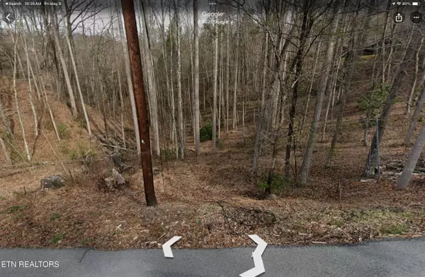 Gatlinburg, TN 37738,Lot 3 Old Cartertown rd (4.49 acres Rd