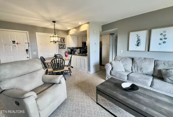 Gatlinburg, TN 37738,3710 Weber Rd #E306