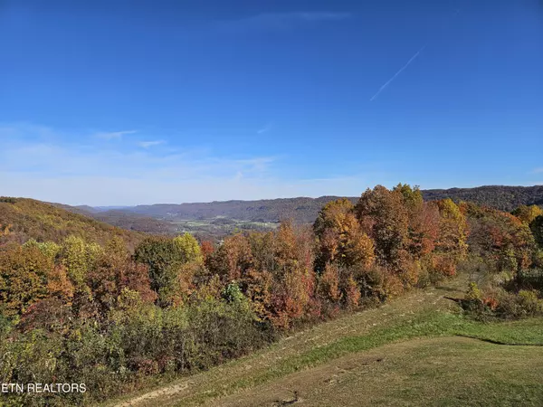 Pioneer, TN 37847,187 Grouse LN