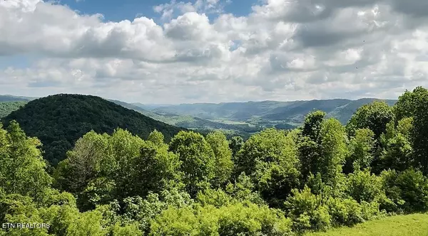 Pioneer, TN 37847,187 Grouse LN