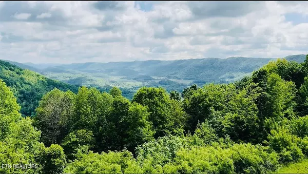 Pioneer, TN 37847,187 Grouse LN