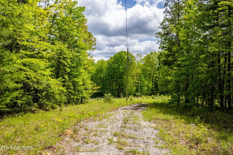 Vista DR, Spring City, TN 37381