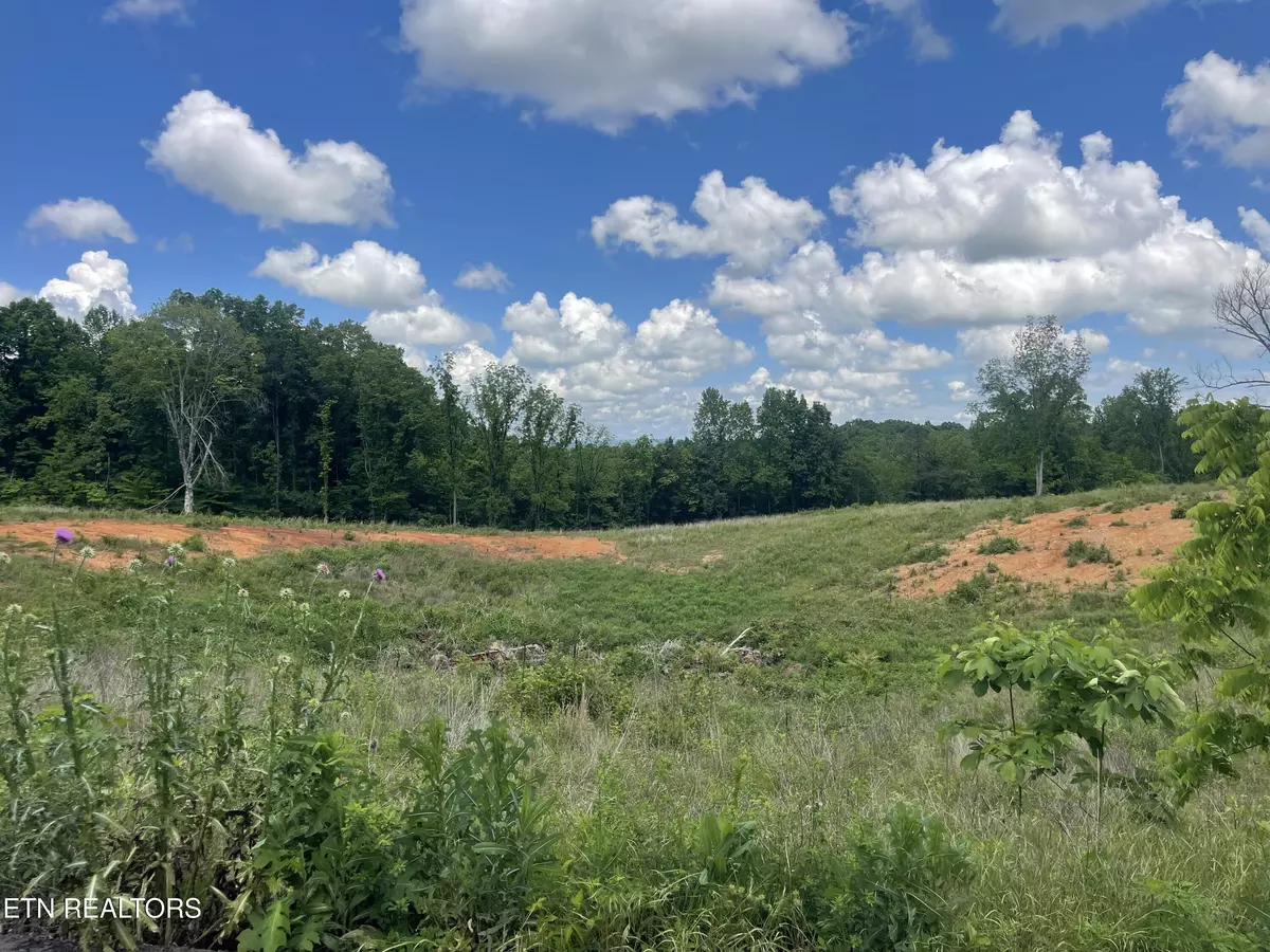 Strawberry Plains, TN 37871,Lot 10 Laura Boling Loop Rd