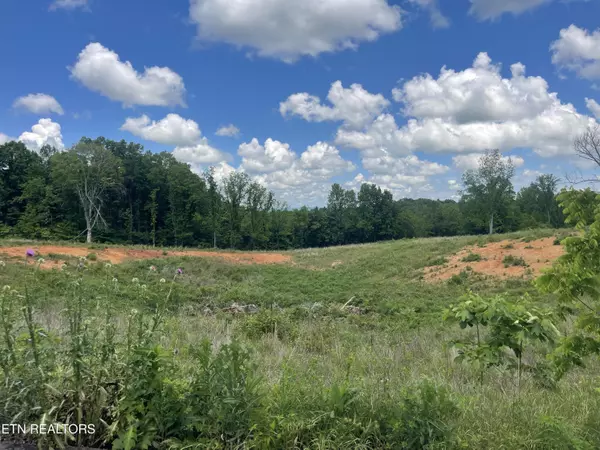 Strawberry Plains, TN 37871,Lot 10 Laura Boling Loop Rd