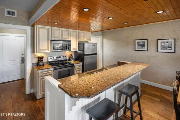 Pigeon Forge, TN 37863,3415 Teaster LN #401