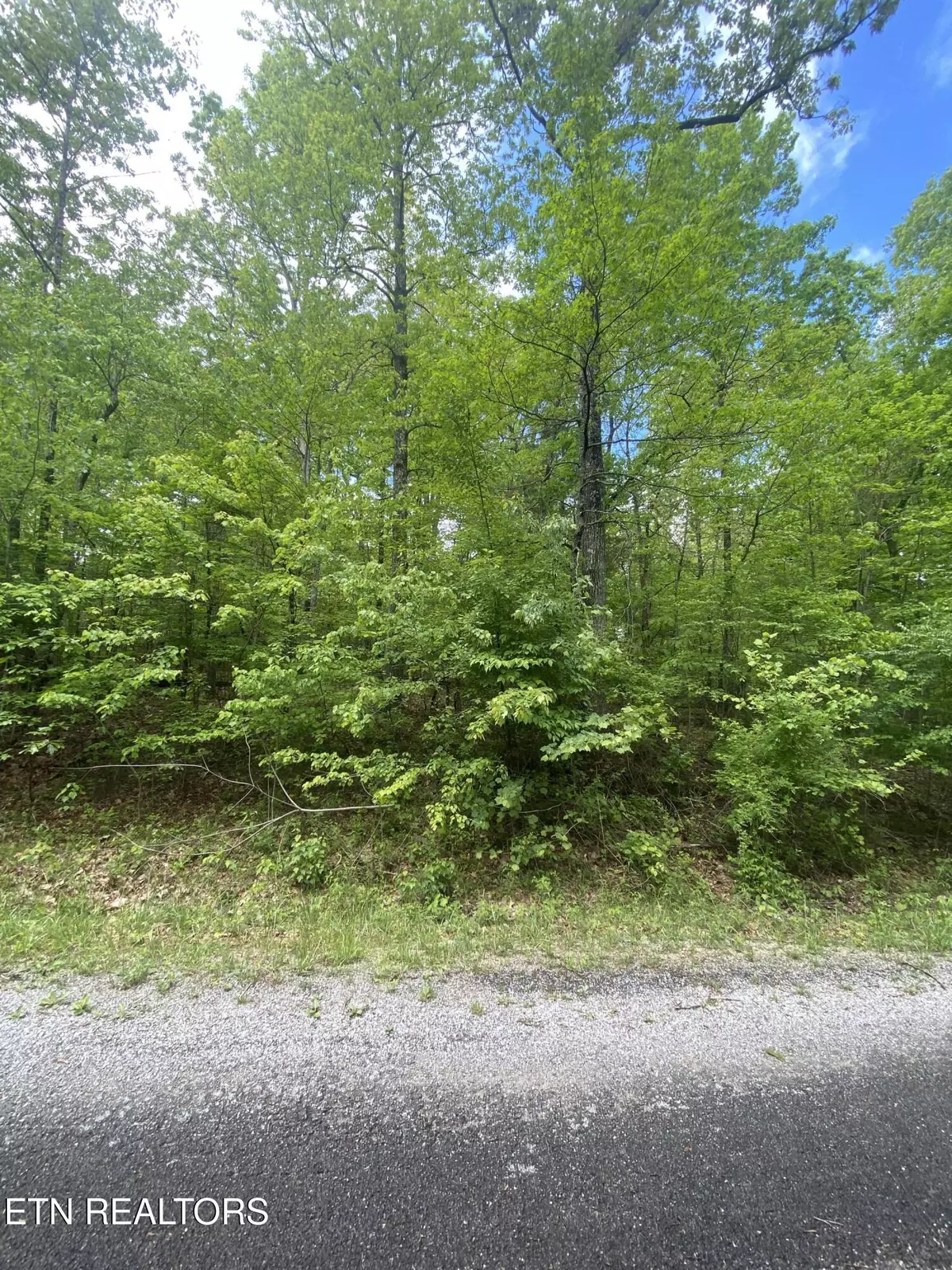 Crossville, TN 38572,610 Catawba LN