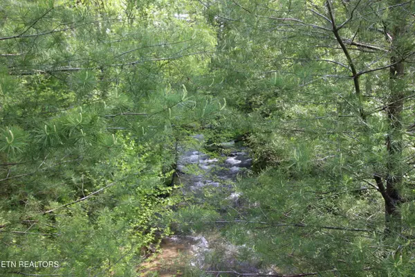 Grandview, TN 37337,25.24 AC Loyd Knox Rd