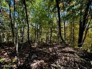Crawford, TN 38554,Lot 46 Honey Springs Rd