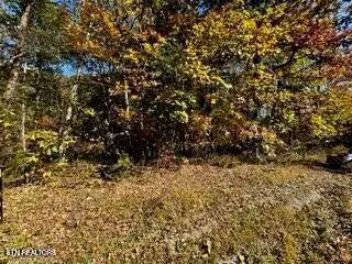 Crawford, TN 38554,Lot 46 Honey Springs Rd