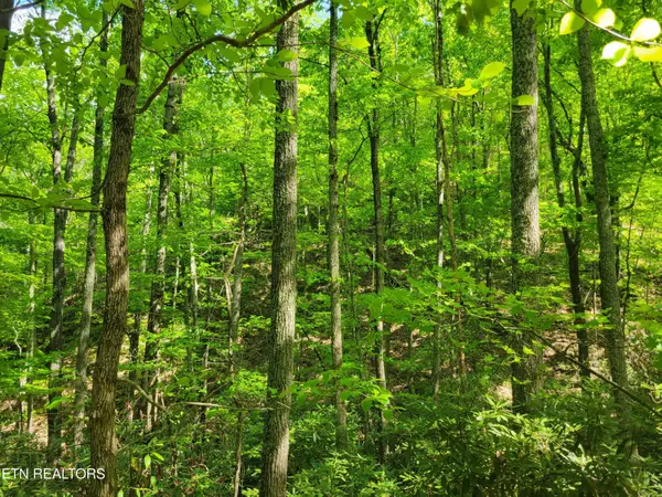 Sevierville, TN 37876,Lot 8 John Sevier DR