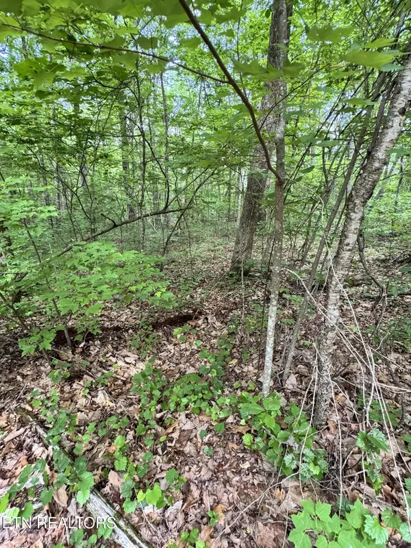 Seymour, TN 37865,Prettiest Sunset Lot #4 WAY