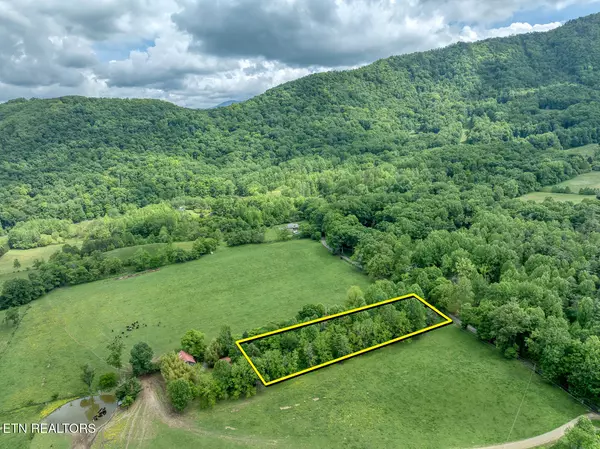 1153 Schoolhouse Gap Rd, Townsend, TN 37882