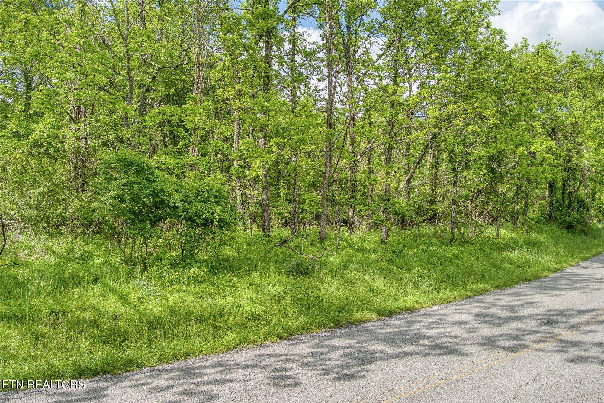 Crossville, TN 38572,Taylors Chapel Rd
