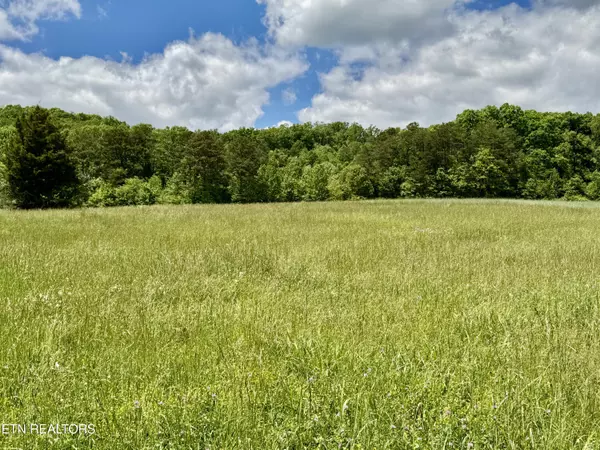 Heiskell, TN 37754,Raccoon Valley DR