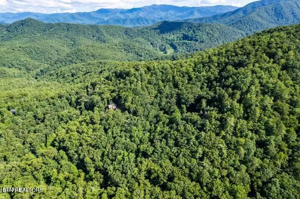Townsend, TN 37882,120 Greystone WAY