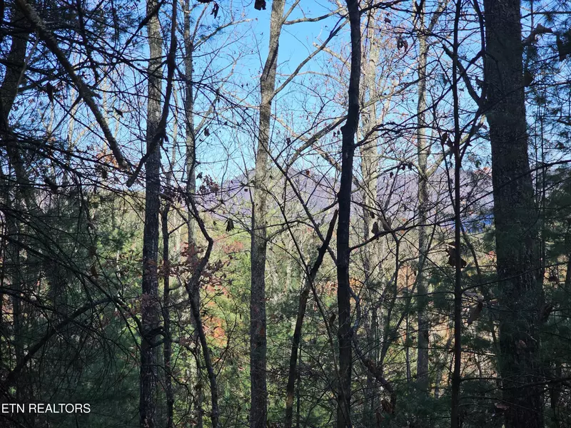 120 Greystone WAY, Townsend, TN 37882