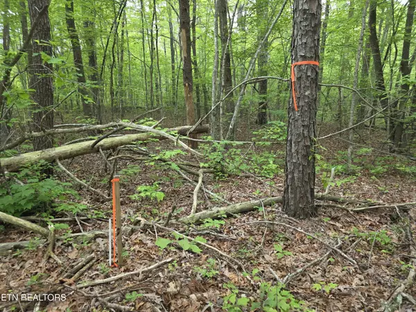 Monterey, TN 38574,4 Cumberland Lakes DR