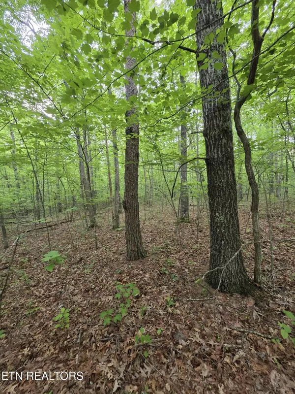 Monterey, TN 38574,4 Cumberland Lakes DR