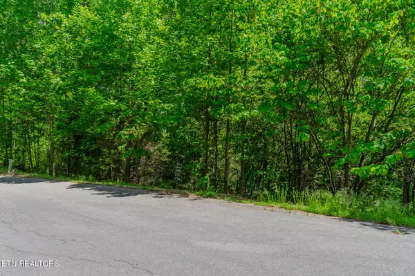 Lot 564 Tortoiseshell CIR, New Tazewell, TN 37825