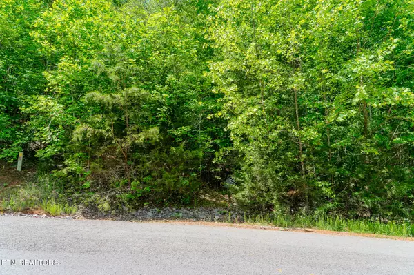Lot 517 Mystic Star DR, New Tazewell, TN 37825