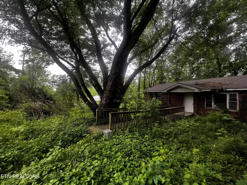 209 Stephens LN, Jamestown, TN 38556