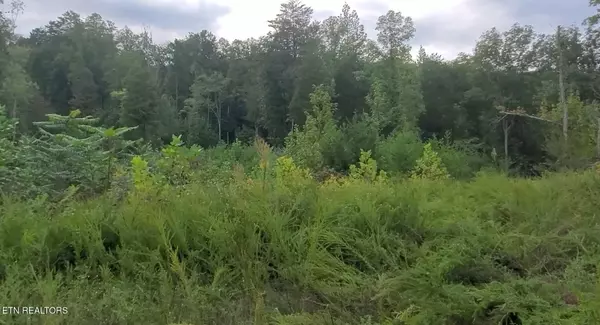 Jamestown, TN 38556,1B Junaluska DR