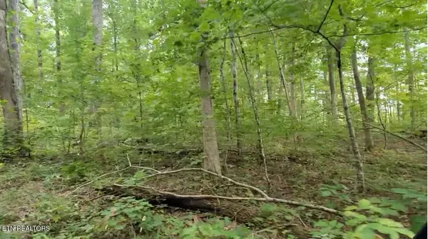 Jamestown, TN 38556,1B Junaluska DR