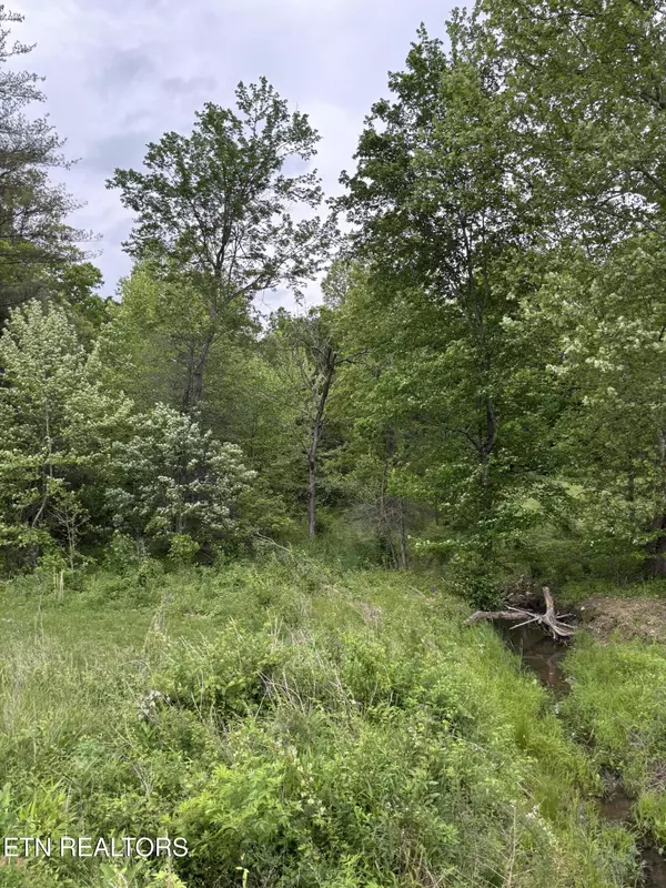 Scott Highway, Winfield, TN 37892