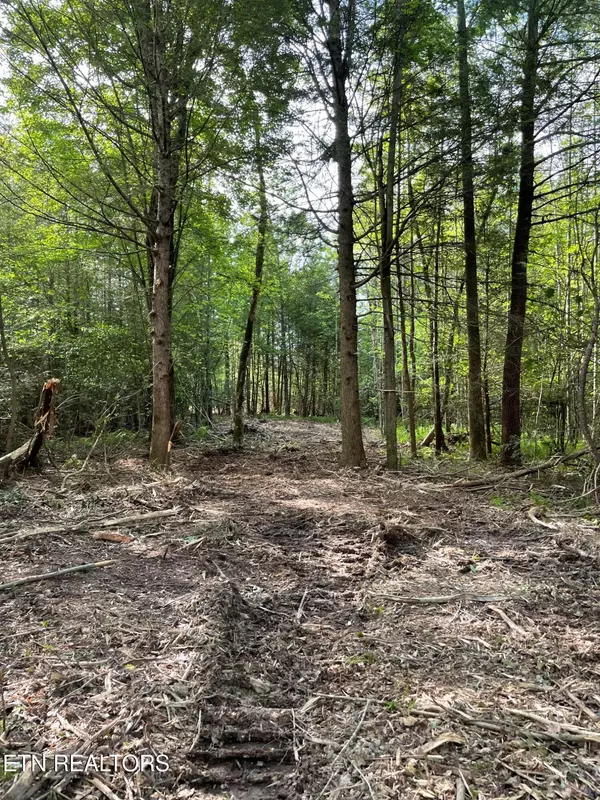 Winfield, TN 37892,Scott Highway