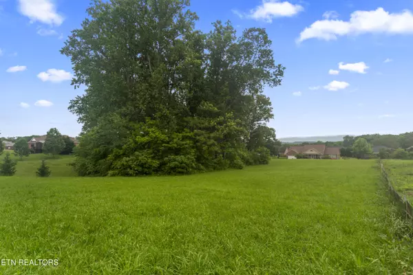 Greenback, TN 37742,1157 Houston Springs Rd